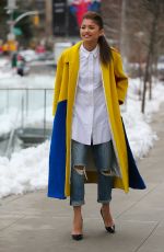 ZENDAYA COLEMAN Out and About in New York