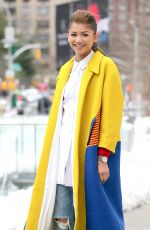 ZENDAYA COLEMAN Out and About in New York