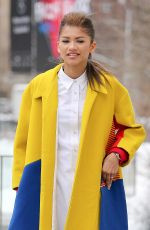 ZENDAYA COLEMAN Out and About in New York
