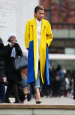 ZENDAYA COLEMAN Out and About in New York