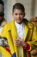 ZENDAYA COLEMAN Out and About in New York