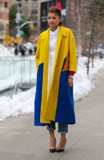 ZENDAYA COLEMAN Out and About in New York