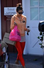 ALESSANDRA AMBROSIO Out for Shopping in Los Angeles