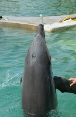 ANA IVANOVIC at Miami Seaquarium