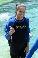ANA IVANOVIC at Miami Seaquarium