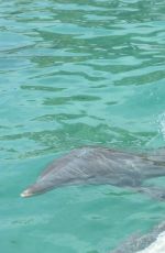 ANA IVANOVIC at Miami Seaquarium