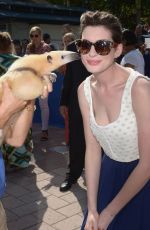 ANNE HATHAWAY at Miami Walk of Fame Unveiling in Miami