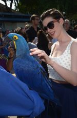 ANNE HATHAWAY at Miami Walk of Fame Unveiling in Miami