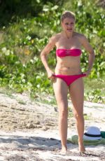 CAMERON DIAZ in Pink Bikini on the Beach in Caribbean