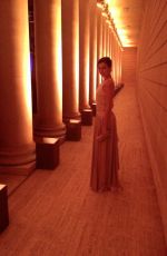 CAMILLA BELLE at Salvatore Ferragamo 2014 Mid-Winter Gala in San Francisco