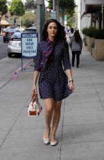 EMMY ROSSUM in Dress Out Shopping in Beverly Hills 