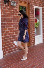 EMMY ROSSUM in Dress Out Shopping in Beverly Hills 