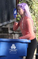 IRELAND BALDWIN with Purple Hair Out Shopping in Tarzana