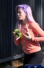 IRELAND BALDWIN with Purple Hair Out Shopping in Tarzana