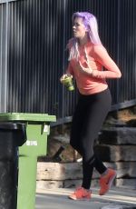 IRELAND BALDWIN with Purple Hair Out Shopping in Tarzana