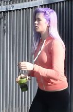 IRELAND BALDWIN with Purple Hair Out Shopping in Tarzana