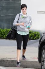 JAIMIE ALEXANDER in Leggings Leaves a Gym in West Hollywood