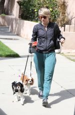 JULIANNE HOUGH Takes Her Dogs for a Walk in Los Angeles