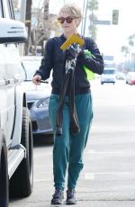 JULIANNE HOUGH Takes Her Dogs for a Walk in Los Angeles