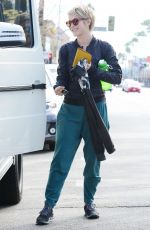 JULIANNE HOUGH Takes Her Dogs for a Walk in Los Angeles