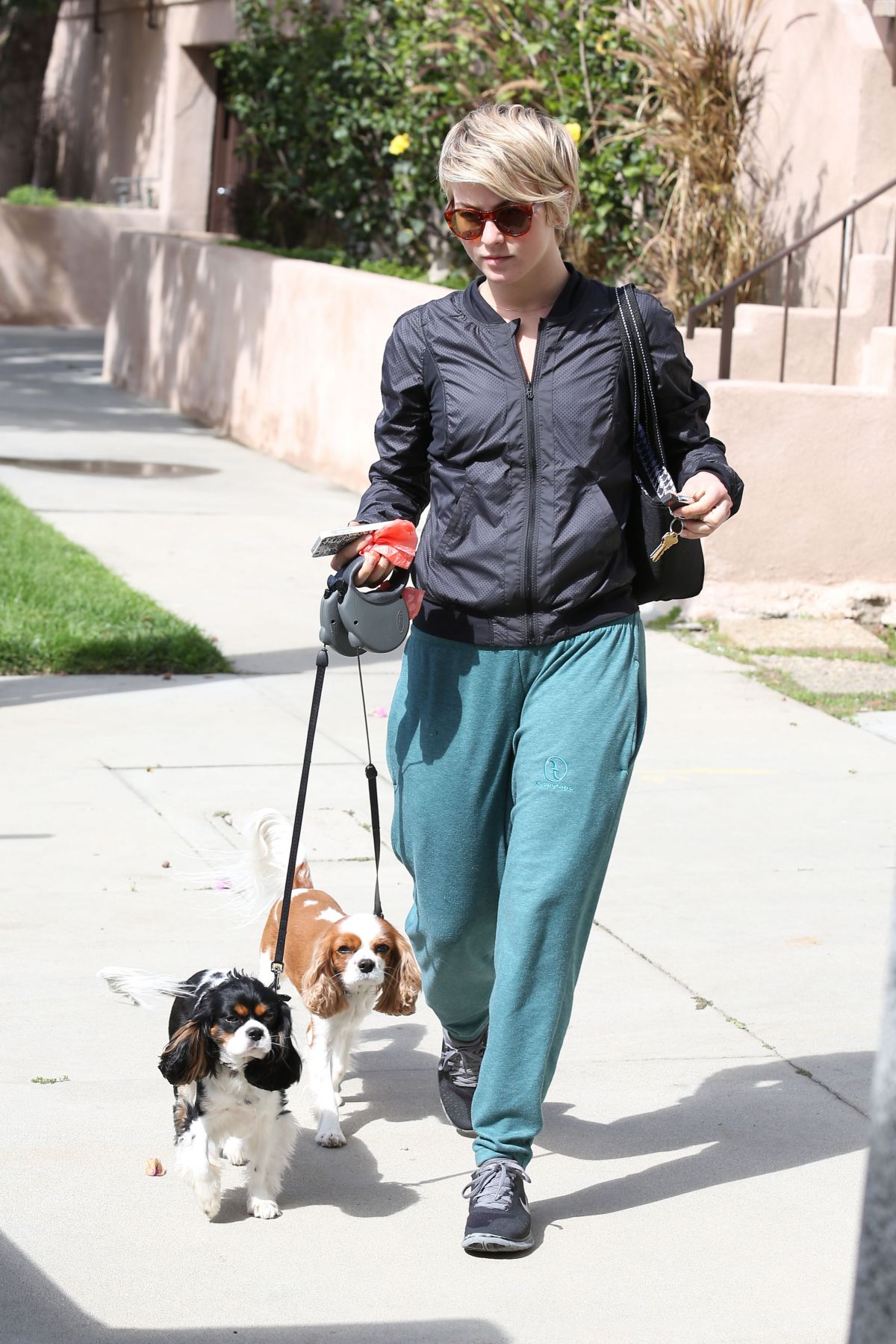 JULIANNE HOUGH Takes Her Dogs for a Walk in Los Angeles – HawtCelebs1200 x 1799
