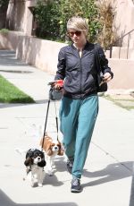 JULIANNE HOUGH Takes Her Dogs for a Walk in Los Angeles