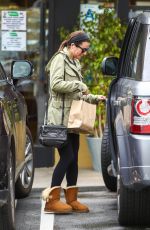 LEA MICHELE Laves Earth Bar
