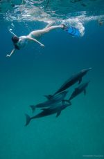 MIRANDA COSGROVE Swiming with Dolphins in Bahamas
