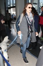 OLIVIA WILDE Arrives at LAX Airport in Los Angeles