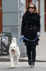OLIVIA WILDE Out with Her Dog in New York