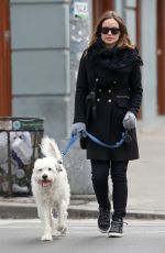 OLIVIA WILDE Out with Her Dog in New York