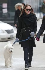 OLIVIA WILDE Out with Her Dog in New York