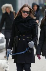 OLIVIA WILDE Out with Her Dog in New York