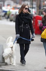 OLIVIA WILDE Out with Her Dog in New York
