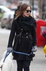 OLIVIA WILDE Out with Her Dog in New York