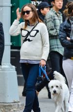 Pregnant OlLIVIA WILDE Having Lunch with a Friend in New York