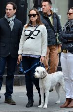 Pregnant OlLIVIA WILDE Having Lunch with a Friend in New York