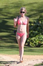 ROSAMUND PIKE in Bikini Paddle Boarding in Hawaii