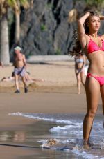 AMY WILLERTON in Bikini at a Beach in Tenerife