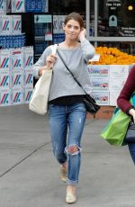 ASHLEY GREENE Out Shopping for Grocery