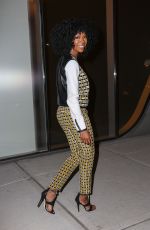 BRANDY NOORWOOD Out and About in New York