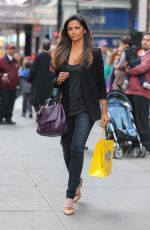 CAMILA ALVES Out Shopping in New York