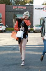 IRELAND BALDWIN and GIGI HADID Out in Malibu