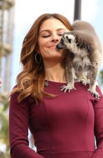 MARIA MENOUNOS on the Set of Extra in Los Angeles