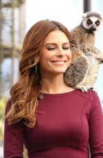 MARIA MENOUNOS on the Set of Extra in Los Angeles