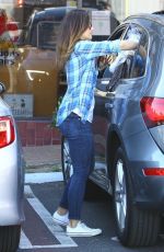 MINKA KELLY Shopping at Bed, Bath & Beyond in Studio City