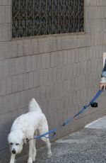 OLIVIA WILDE Walks Her Dog Out in New York