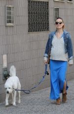 OLIVIA WILDE Walks Her Dog Out in New York