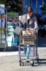 SELMA BLAIR Shopping at Bristol Farms in Los Angeles