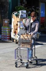 SELMA BLAIR Shopping at Bristol Farms in Los Angeles